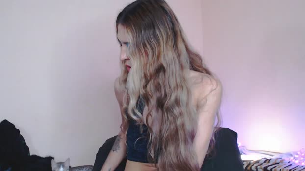 trix_fiore_oficial Chaturbate 13-05-2024 Trans