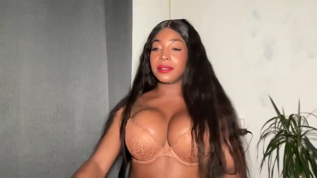 ebonydannaxl Chaturbate 21-05-2024 Trans