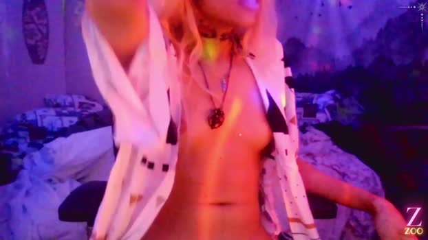 zya_zoo Chaturbate 24-05-2024 Trans