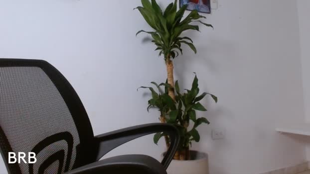 fit_prince_ Chaturbate 25-05-2024 Males