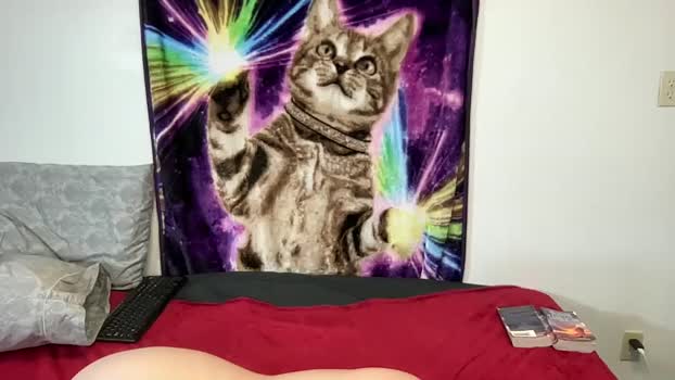 lacy8vankort Chaturbate 25-05-2024 Trans