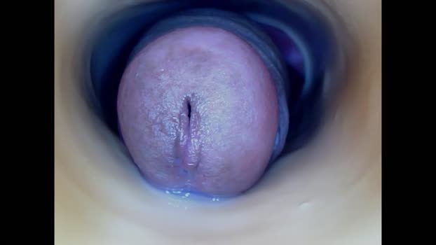 paulainoscente Chaturbate 27-05-2024 Trans