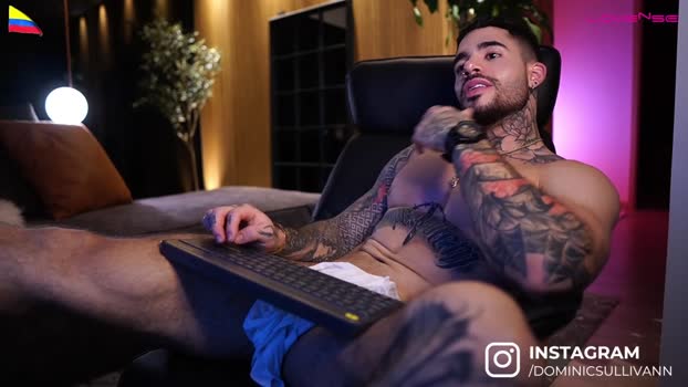 dominic_sullivan1 Chaturbate 30-05-2024 Males