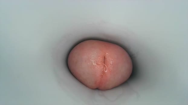 jeffrodgerschaturbat Chaturbate 30-05-2024 Males