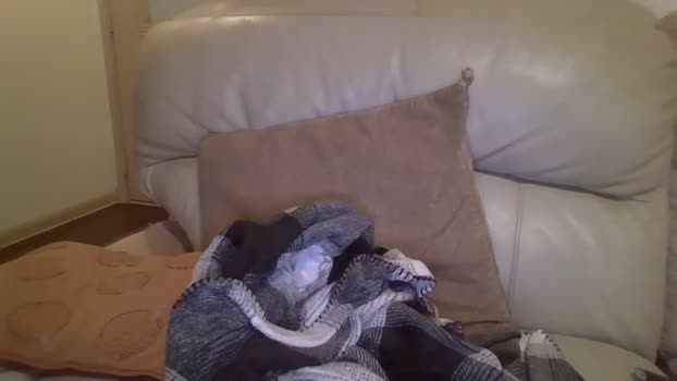 bigdicktrannynicole Chaturbate 04-06-2024 Trans