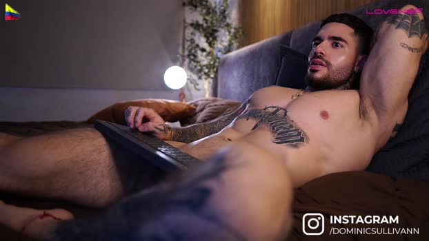 dominic_sullivan1 Chaturbate 07-06-2024 Males
