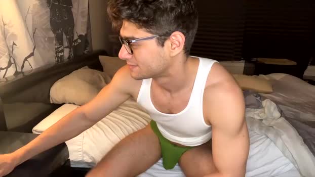 iblamedevan Chaturbate 08-06-2024 Males