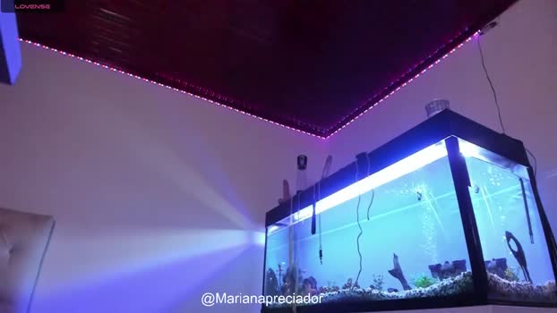 mariana_preciado Chaturbate 14-06-2024 Trans