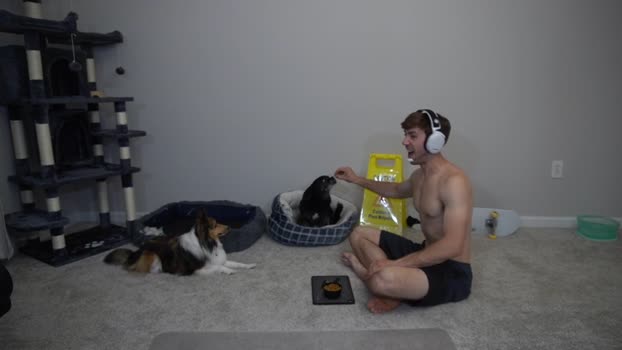 sydaffect Chaturbate 15-06-2024 Males