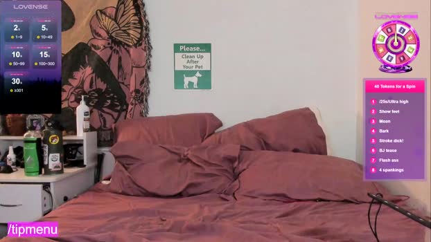 trannyloser Chaturbate 16-06-2024 Trans