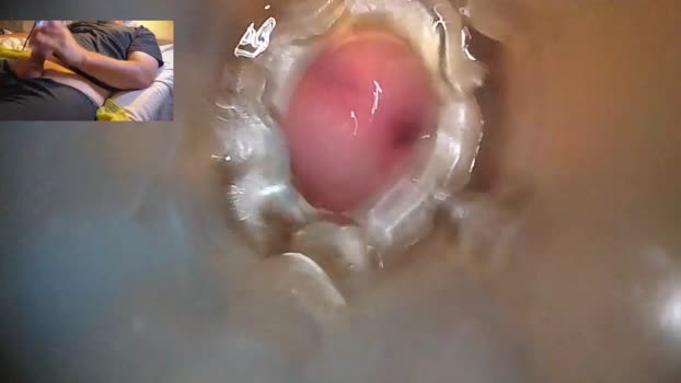 xoxowtf Chaturbate 21-06-2024 Males