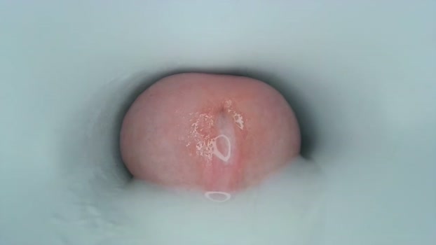 jeffrodgerschaturbat Chaturbate 02-07-2024 Males