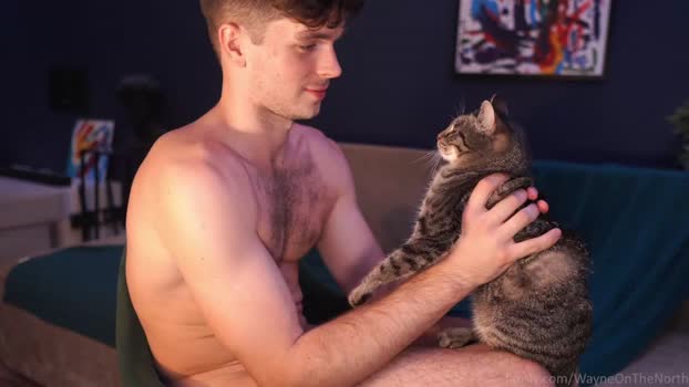 waynenorth Chaturbate 06-07-2024 Males