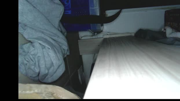 n9nature Chaturbate 09-07-2024 Males