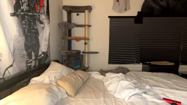 iblamedevan Chaturbate 10-07-2024 Males