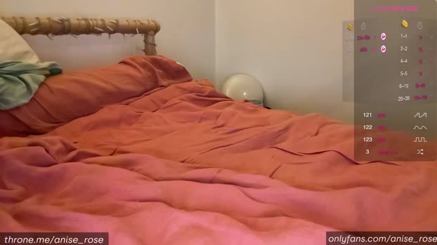 anise_rose Chaturbate 12-07-2024 Trans