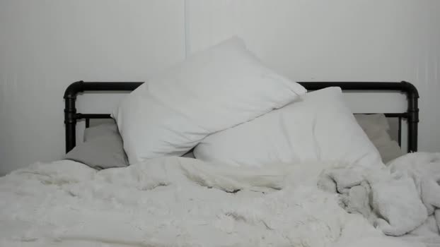 willyt98 Chaturbate 12-07-2024 Males