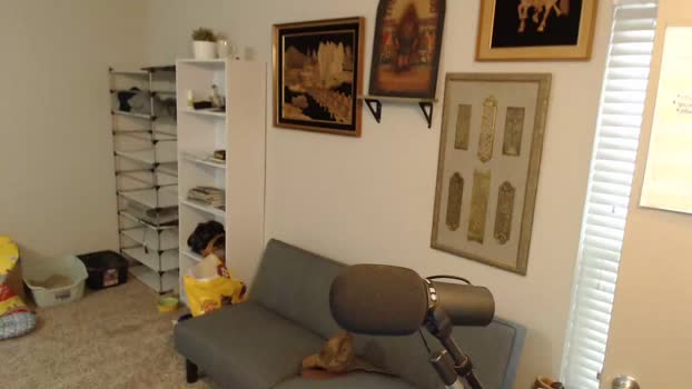 bryancavallo Chaturbate 20-07-2024 Males