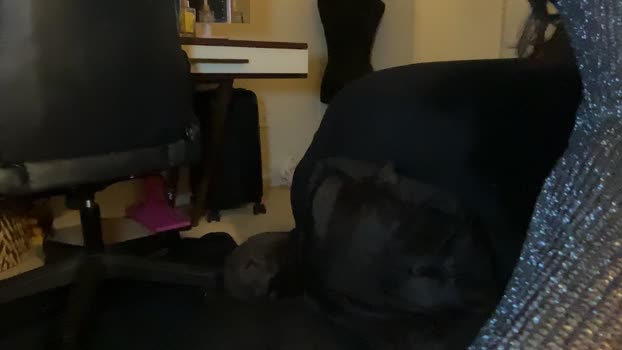femgirl99 Chaturbate 24-07-2024 Trans