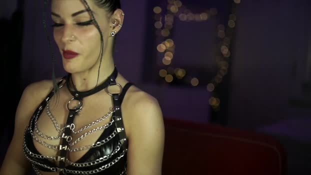 stella_shock Chaturbate 29-07-2024 Trans