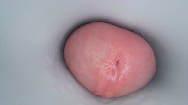 jeffrodgerschaturbat Chaturbate 03-08-2024 Males