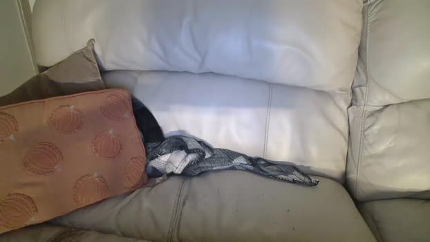 bigdicktrannynicole Chaturbate 15-08-2024 Trans