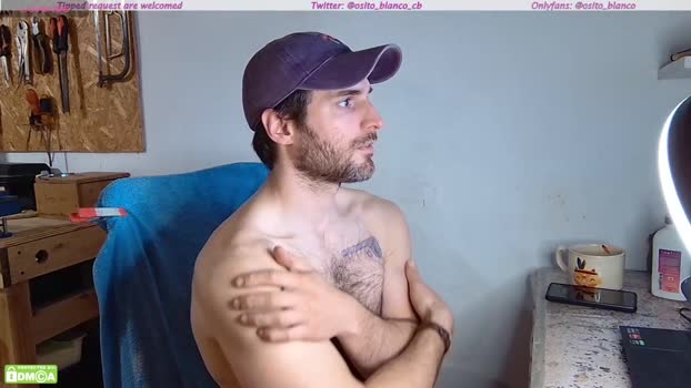 osito_blanco Chaturbate 20-08-2024 Males