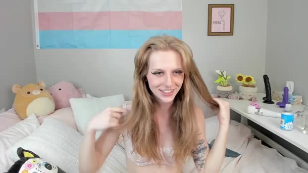 paigewright Chaturbate 20-08-2024 Trans