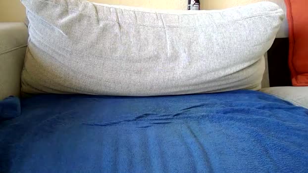 hungking10 Chaturbate 23-08-2024 Males