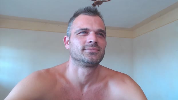 mr_alpacino Chaturbate 25-08-2024 Males