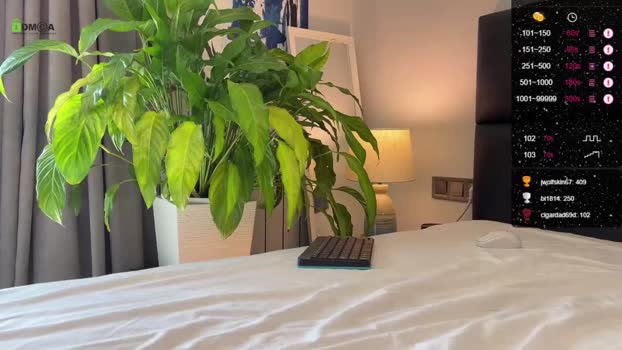 alexyork Chaturbate 27-08-2024 Males