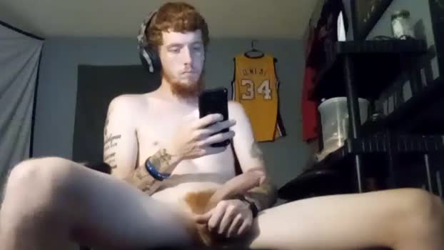 bigwhited2115 Chaturbate 27-08-2024 Males