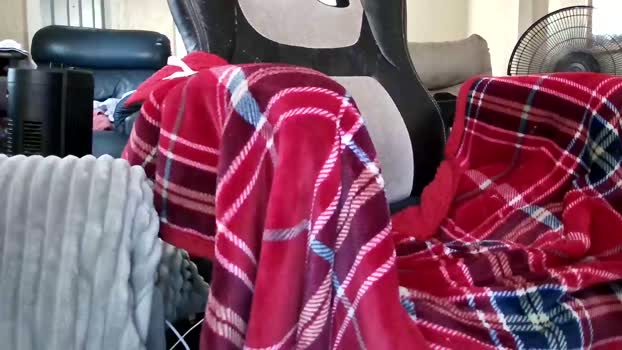 theeuglydude Chaturbate 27-08-2024 Males