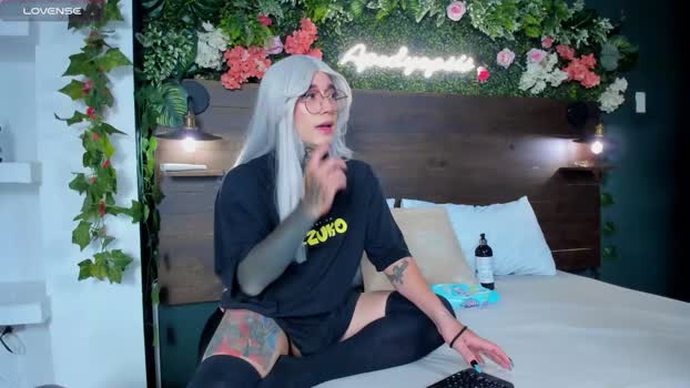 jadeykhada Chaturbate 11-09-2024 Trans