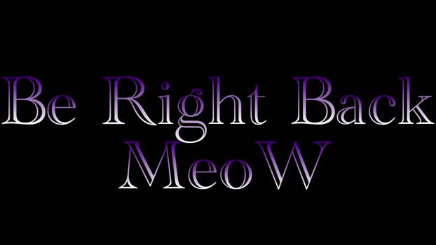 spicy_meow Chaturbate 19-09-2024 Trans