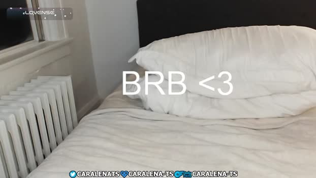 bambiandfriends Chaturbate 14-10-2024 Trans