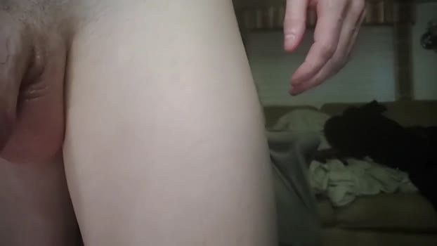 ivyrose499 Chaturbate 20-10-2024 Trans