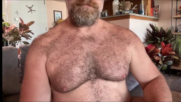bearjocknwdc fuckher Webcam SHOW @ Chaturbate 08-11-2024