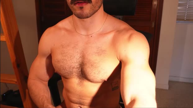 alexdimartino hot Webcam SHOW @ Chaturbate 12-11-2024