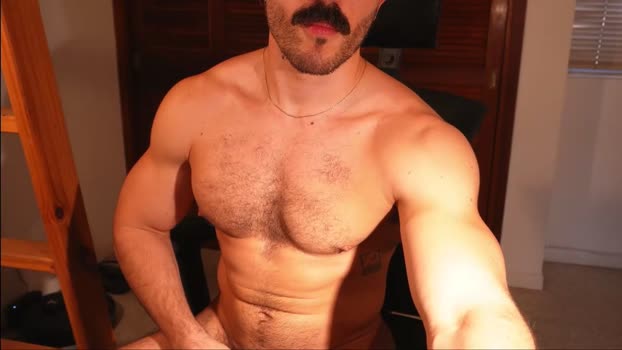alexdimartino bigballs Webcam SHOW @ Chaturbate 12-11-2024