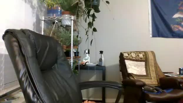 hottop_1981 dirty Webcam SHOW @ Chaturbate 30-11-2024
