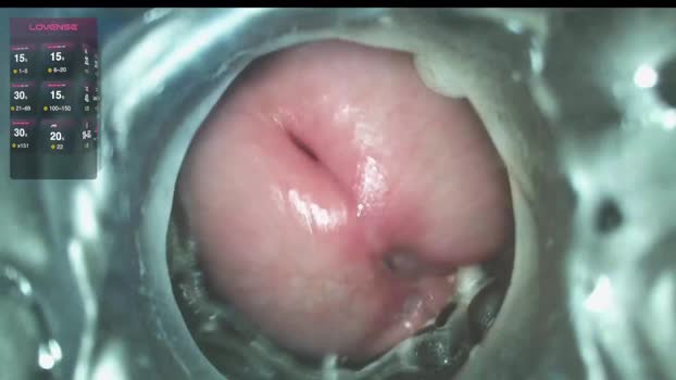 xoxowtf hard Webcam SHOW @ Chaturbate 01-12-2024