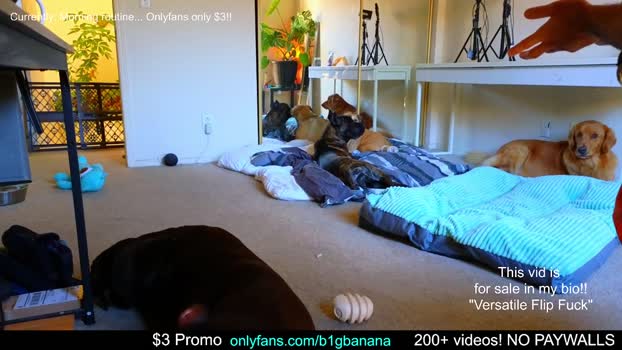 b1gbanana lick Webcam SHOW @ Chaturbate 10-12-2024