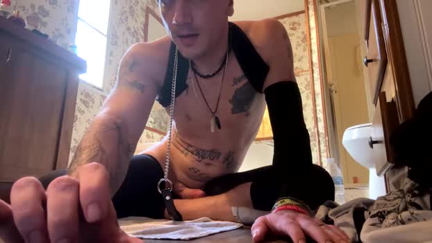 battlewolfxx beauty Webcam SHOW @ Chaturbate 25-12-2024