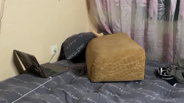 alex_meow1