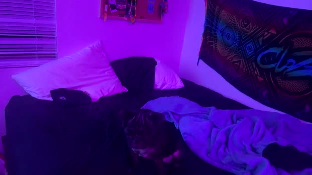 blackstarzara sexy Webcam SHOW @ Chaturbate 01-01-2025