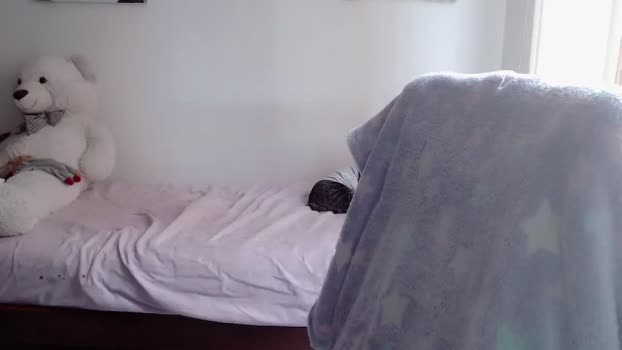 Meganhill_ MyFreeCams Female 24-01-2025