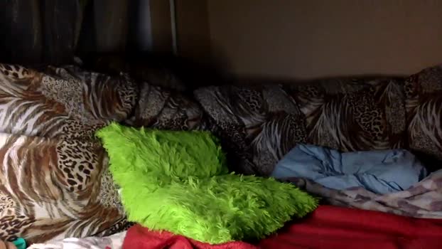 MsParisGrey MyFreeCams Female 26-01-2025