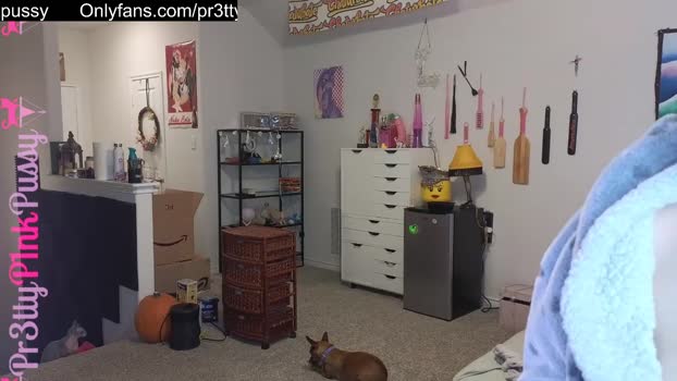 pr3ttyp1nkpussy Chaturbate Female 28-01-2025