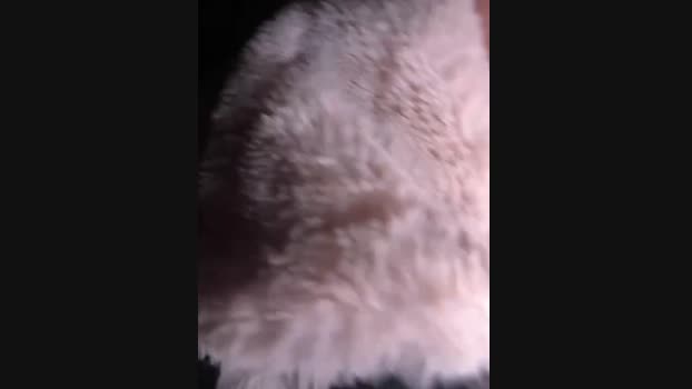 PennyPrincess StripChat Female 01-02-2025
